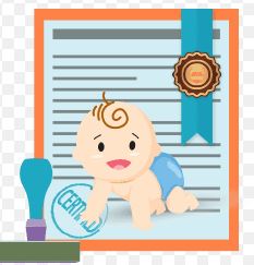 Birth certificate translation for PR visa